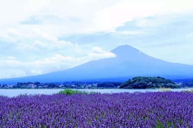 From Tokyo: Mt. Fuji 5th station and Oshino Hakkai Day Trip - The Itinerary: What to Expect