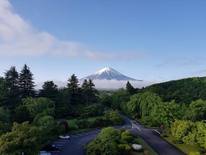 From Tokyo: Mt. Fuji And Hakone Private Sightseeing Day Trip - Key Points: