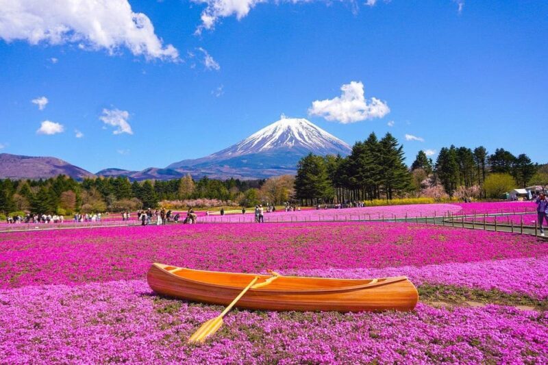 From Tokyo: Mt. Fuji And Hakone Private Sightseeing Day Trip - Authentic Scenic Experiences and Authenticity