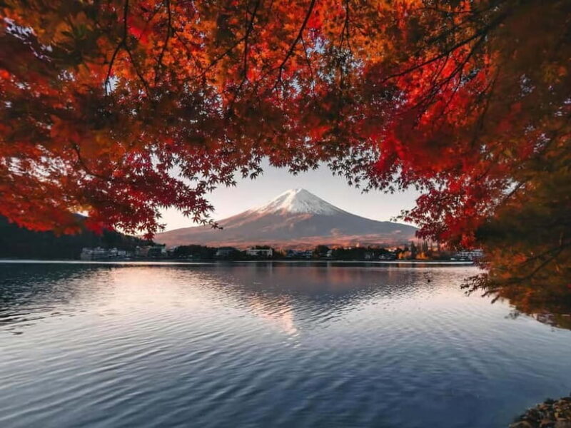 From Tokyo: Mt Fuji, Arakurayama and Kawaguchi Lake Day Trip - From Tokyo: Mt Fuji, Arakurayama and Kawaguchi Lake Day Trip — A Detailed Review