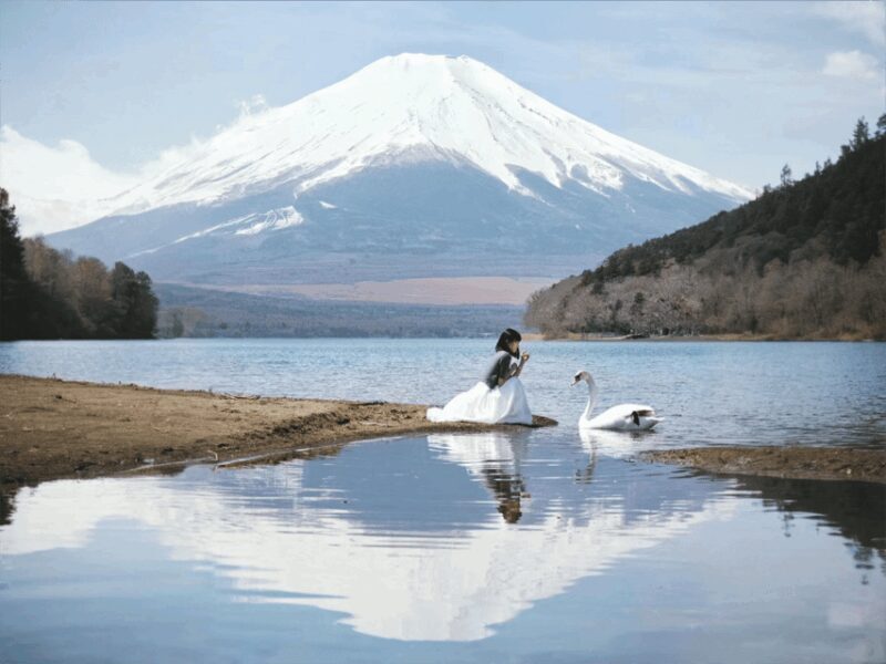 From Tokyo: Mt Fuji, Arakurayama and Kawaguchi Lake Day Trip - Who Should Consider This Tour?