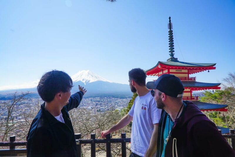 From Tokyo: Mt. Fuji Day Tour w/ Private Car & Nature Guide - Who Should Consider This Tour?