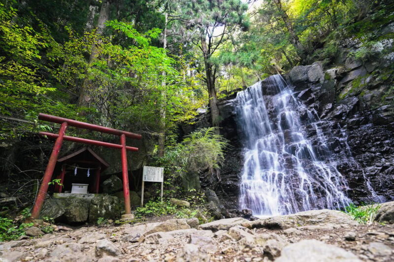 From Tokyo: Mt. Fuji Day Tour w/ Private Car & Nature Guide - The Sum Up: Why It’s a Strong Choice