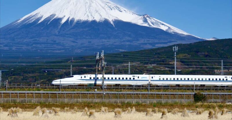 From Tokyo: Mt. Fuji & Hakone Tour w/ Return by Bullet Train - Introduction