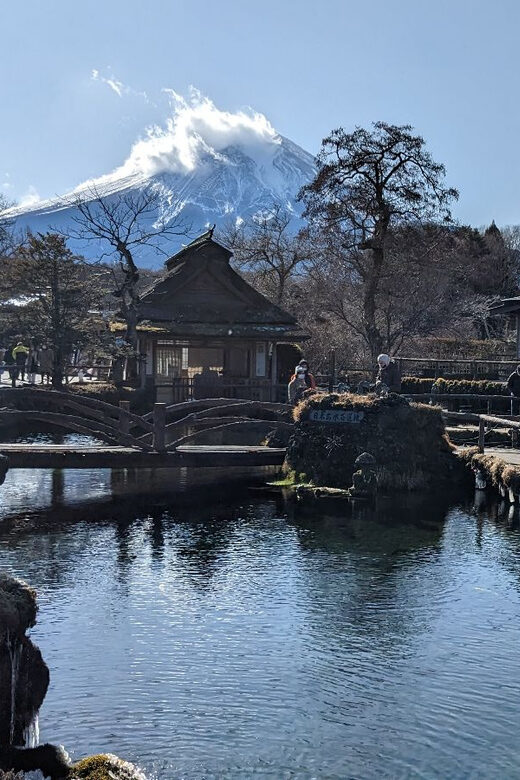 From Tokyo: Mt. Fuji & Hakone Tour w/ Return by Bullet Train - Key Points
