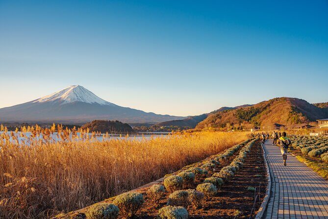 From Tokyo Mt.Fuji, Lake Kawaguchi, Makaino Farm day tour - Who Is This Tour Best Suited For?