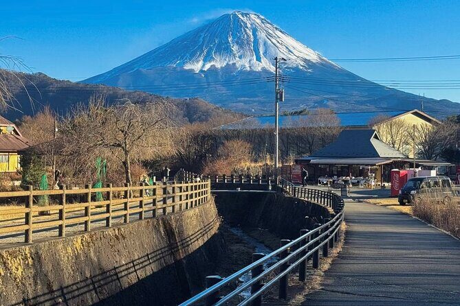 From Tokyo Mt.Fuji, Lake Kawaguchi, Makaino Farm day tour - Final Thoughts