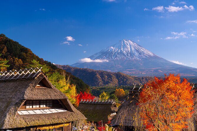 From Tokyo Mt.Fuji, Lake Kawaguchi, Makaino Farm day tour - FAQ