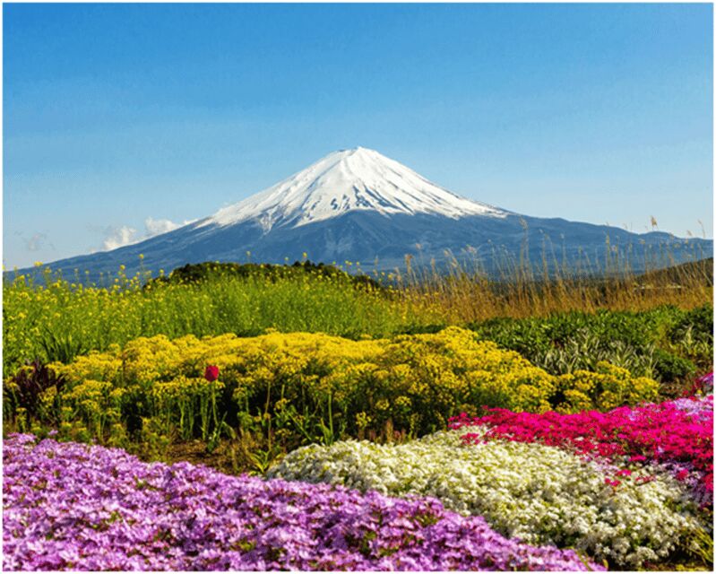 From Tokyo: Mt.Fuji, Lake Kawaguchi, Oshino Hakkai Day Tour - Final Words