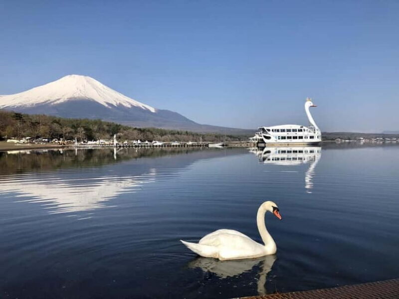 From Tokyo: Mt. Fuji Lawson & Iconic Lakes 1-Day Bus Tour - The Practicalities: Transportation, Timing, and Group Size