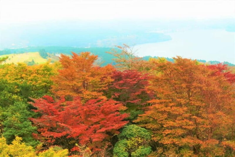 From Tokyo: Mt. Fuji Lawson & Iconic Lakes 1-Day Bus Tour - Final Thoughts: Who Will Love This Tour?