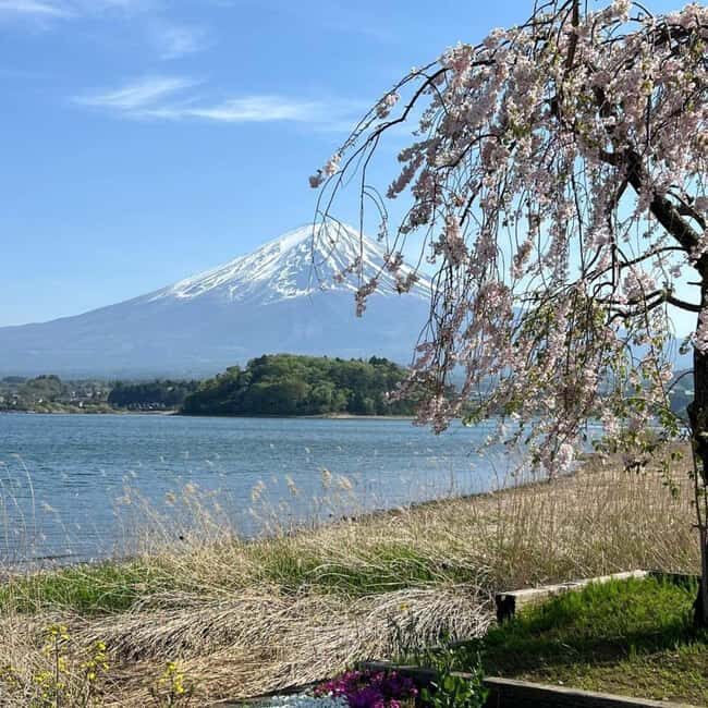 From Tokyo: Mt Fuji Private Day Tour In Luxury Land Cruiser - The Experience in Detail
