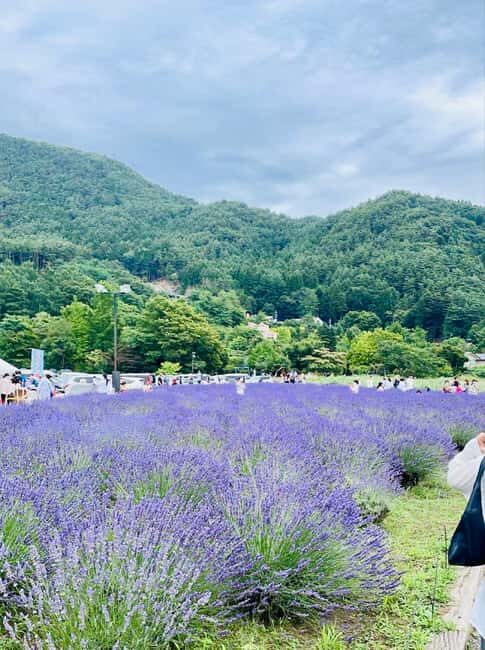 From Tokyo: Mt. Fuji Spanish & English Tour - A Full Breakdown of the Tour Experience
