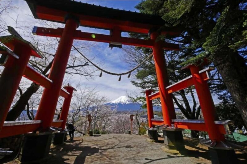 From Tokyo: Mt. Fuji Spanish & English Tour - Who Will Love This Tour?