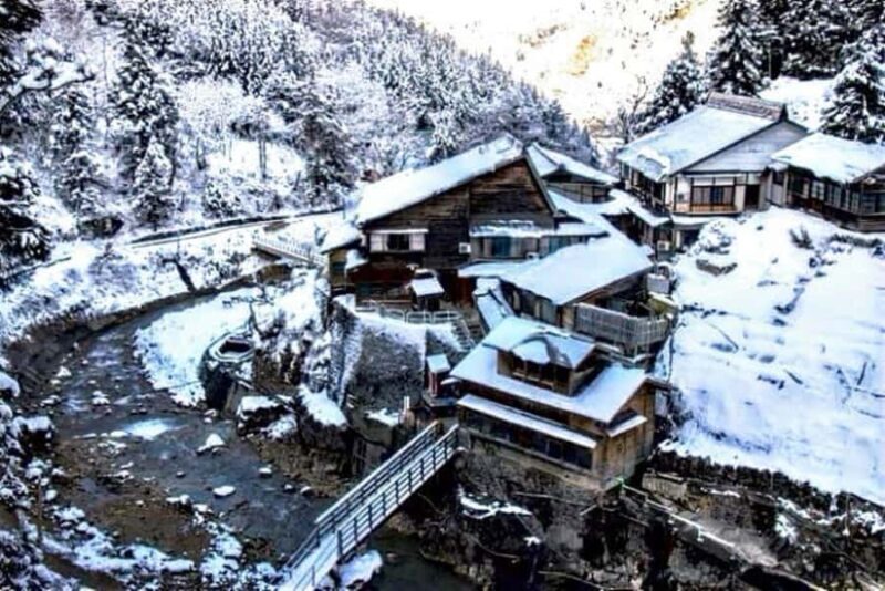 From Tokyo: Nagano Full Day Private Snow Monkey Park Tour - Final Thoughts