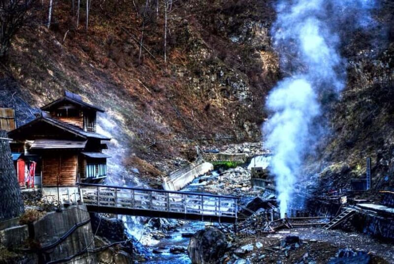 From Tokyo: Nagano Full Day Private Snow Monkey Park Tour - FAQ
