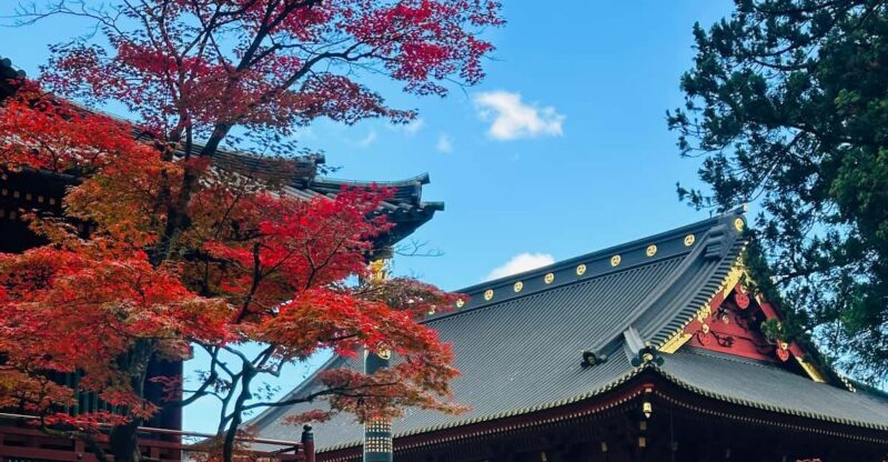From Tokyo: Nikko Customize private Tour With English Driver - The Bottom Line: Why Choose This Tour?