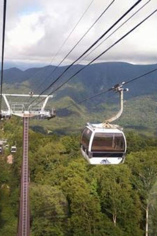 From Tokyo: Nikko luxury Tour with English-speaking Guide - A Deep Dive into the Experience