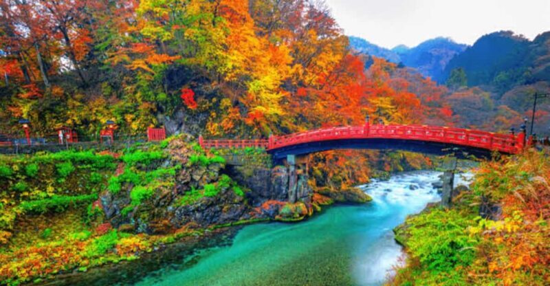 From Tokyo: Nikko luxury Tour with English-speaking Guide - Who Will Love This Tour?