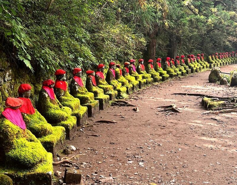 From Tokyo: Nikko private 1-day sightseeing Tour with Guide - Price and Value: What You Get for $509