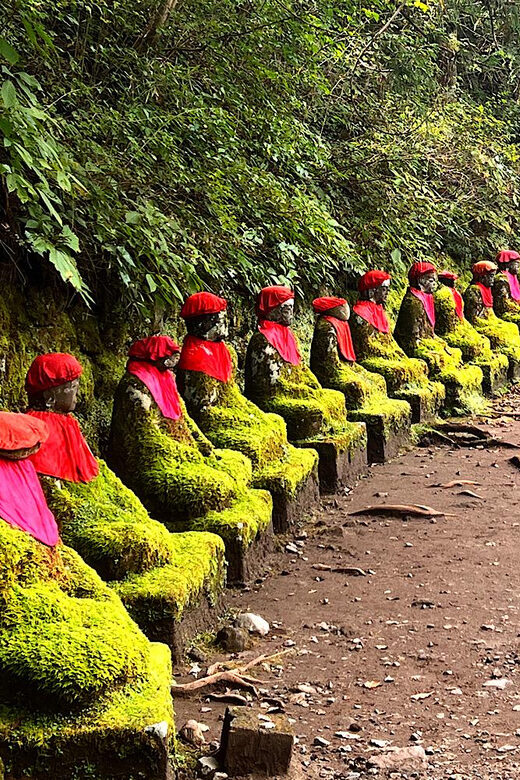 From Tokyo: Nikko private 1-day sightseeing Tour with Guide - Considerations and Practical Tips