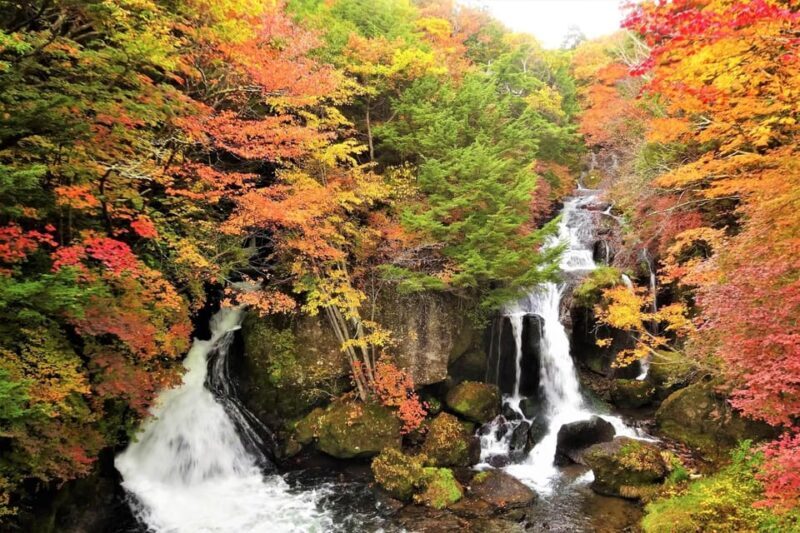 From Tokyo: Nikko World Heritage Site Private Full-Day Trip - The Value of a Private, Guided Day Trip