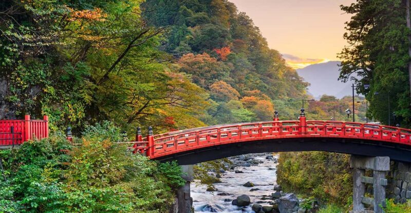 From Tokyo: Nikko World Heritage Site Private Full-Day Trip - The Sum Up