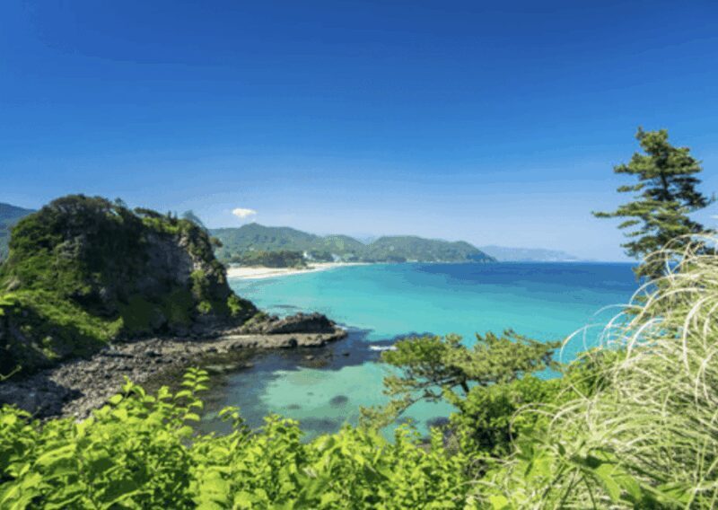 From Tokyo: Private Day Trip to Izu & Shimoda, Shizuoka - Key Points