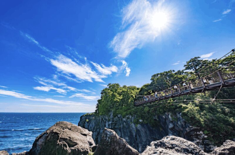From Tokyo: Private Day Trip to Izu & Shimoda, Shizuoka - The Itinerary: A Deep Dive into Izu & Shimoda