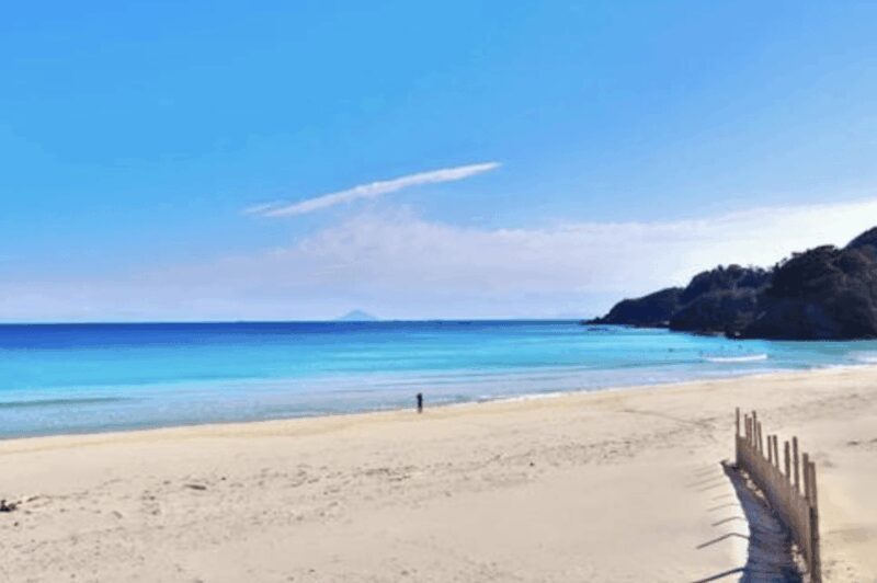 From Tokyo: Private Day Trip to Izu & Shimoda, Shizuoka - Real Travelers’ Perspectives: Authentic Experiences