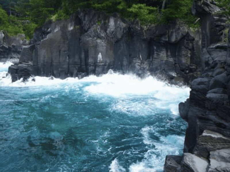 From Tokyo: Private Day Trip to Izu & Shimoda, Shizuoka - Who Should Consider This Tour?
