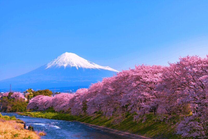 From Tokyo: Private Day Trip to Mount Fuji & Fuji Five lakes - Exploring Japan’s Iconic Landscapes: A Complete Review of the Private Day Trip to Mount Fuji & Fuji Five Lakes