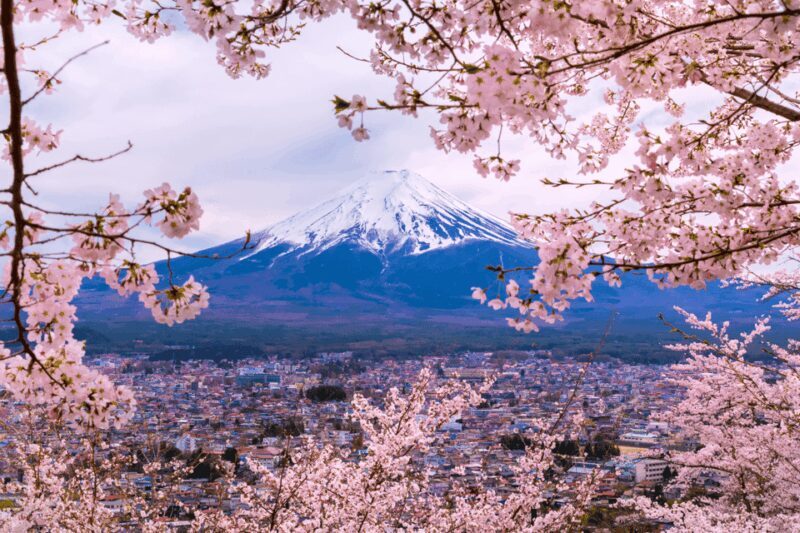 From Tokyo: Private Day Trip to Mount Fuji & Fuji Five lakes - The Itinerary Breakdown