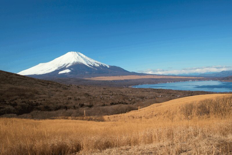 From Tokyo: Private Day Trip to Mount Fuji & Fuji Five lakes - What Makes This Tour Stand Out?