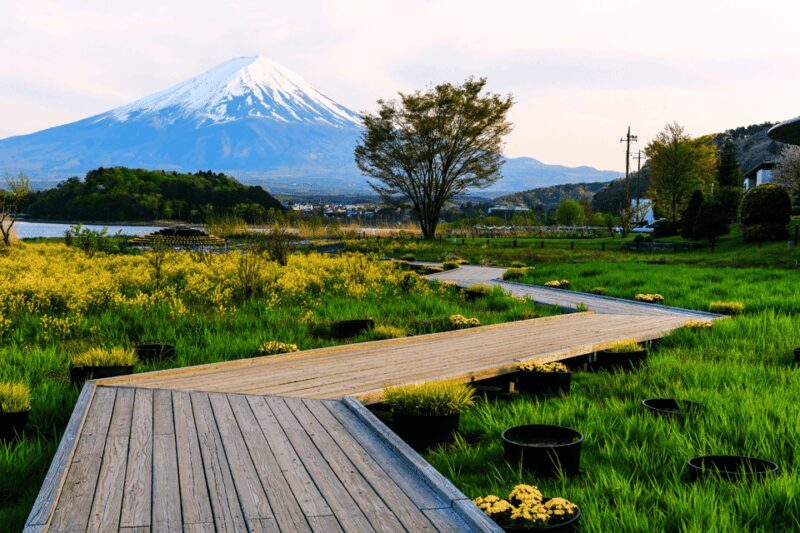 From Tokyo: Private Day Trip to Mount Fuji & Fuji Five lakes - Price Analysis: Is It Worth It?