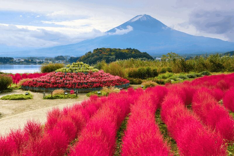 From Tokyo: Private Day Trip to Mount Fuji & Fuji Five lakes - FAQs