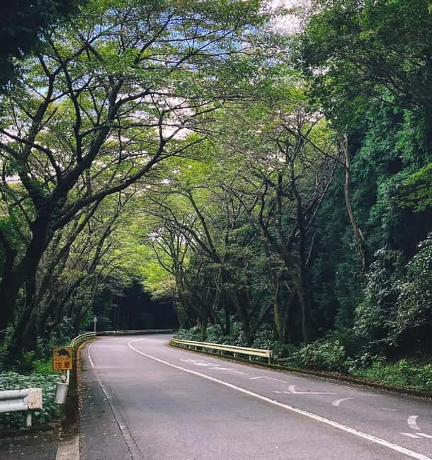 From Tokyo: Private Motorcycle Tour - Fuji, Hakone, Onsen - Authentic Experiences and Authentic Feedback