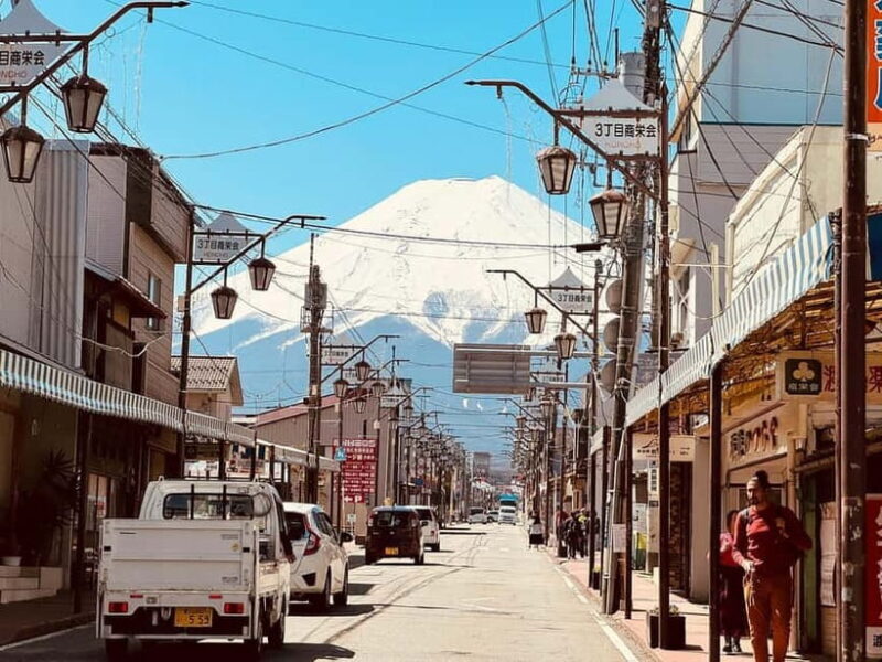 From Tokyo: Private Mount Fuji Day Trip by Car - Practical Details and Value