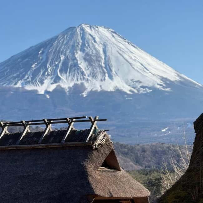 From Tokyo Private Mount Fuji & Hakone Day Trip With Pick Up - Key Points