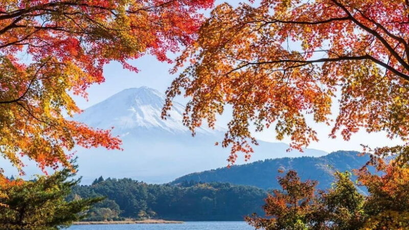 From Tokyo: Private Mt. Fuji and Hakone Tour by Car - Exploring the Best of Mt. Fuji and Hakone: A Closer Look at the Private Car Tour from Tokyo