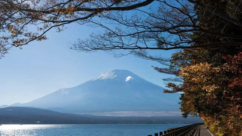 From Tokyo: Private Mt. Fuji and Hakone Tour by Car - Yamanakako and the Fuji Five Lakes Area