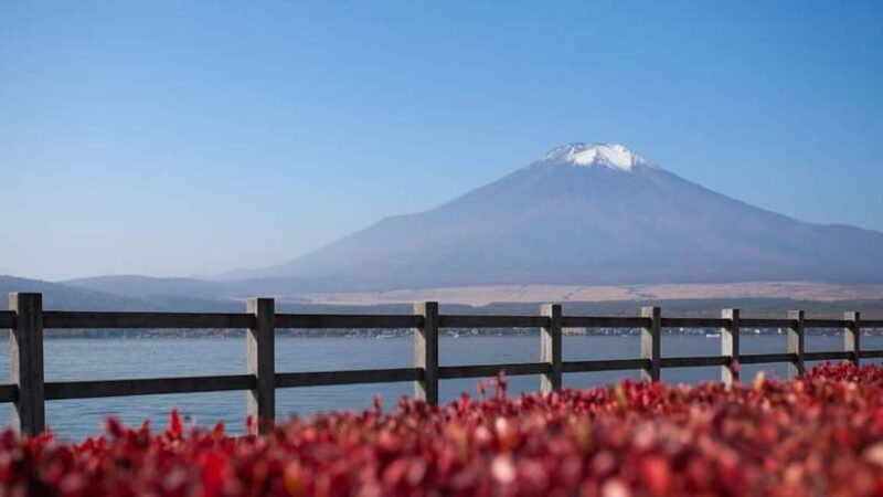 From Tokyo: Private Mt. Fuji and Hakone Tour by Car - Hakone Shrine and Cultural Highlights