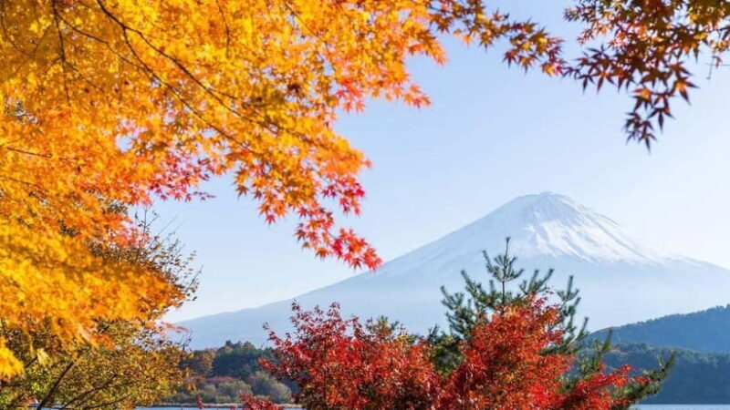From Tokyo: Private Mt. Fuji and Hakone Tour by Car - Optional Attractions: Art and Shopping