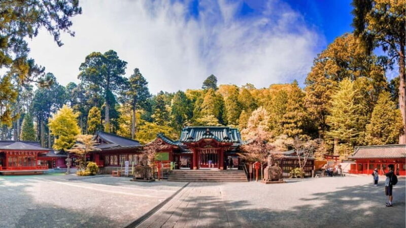 From Tokyo: Private Mt. Fuji and Hakone Tour by Car - Visiting Mt. Fuji’s 5th Station