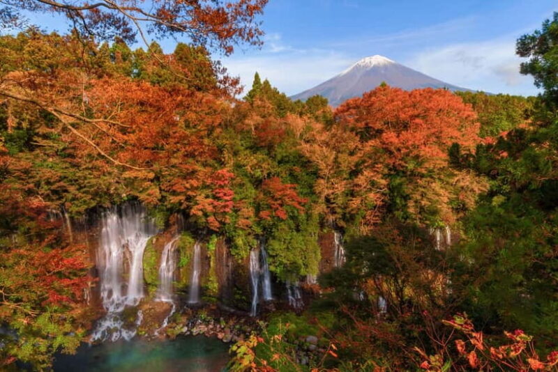 From Tokyo: Private Tour to Fuji/Hakone - Onsen, Art, Nature - Cost versus Value