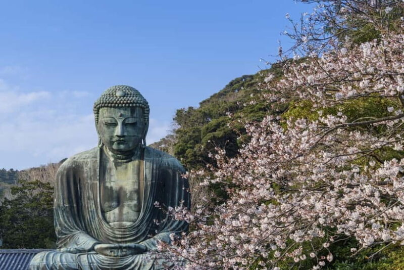 From Tokyo: Private Tour to Kamakura - Temples, Sea, Onsen - An Intimate Journey to Kamakura’s Most Beloved Sites