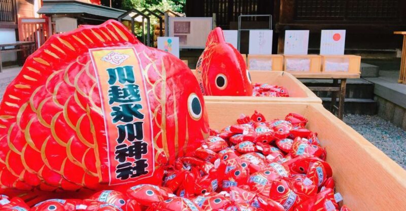 From Tokyo: Round-Trip Fare to Kawagoe City - An In-Depth Look at the Kawagoe Day Trip