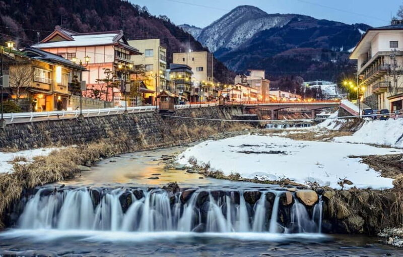 From Tokyo: Snow Monkeys and Zenkoji Temple Day Trip - Who Should Consider This Tour?