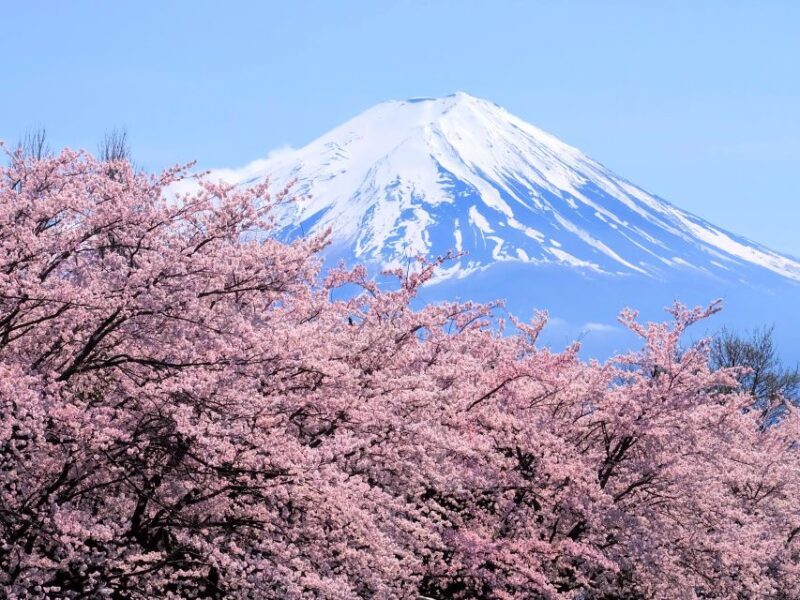 From Tokyo to Mount Fuji: Full-Day Tour and Hakone Cruise - An In-Depth Look at the Tour Experience