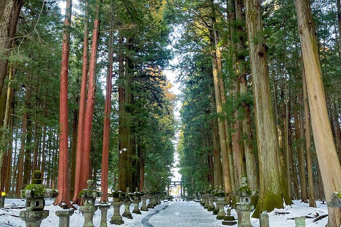 From Tokyo to Mount Fuji! Private Car Tour by Eng Speaking Driver - What Travelers Say